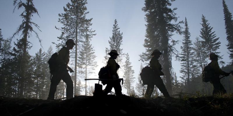 Silouetten von vier Feuerwehrleuten vor einem Wald im Gegenlicht