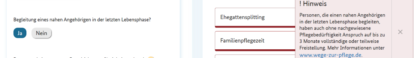 Screenshot des Infotools Familie. Über die im Tool integrierten Leistungen hinaus werden auch Informationen zu weiteren Leistungen eingeblendet, die für die konkrete Familiensituation von Relevanz sein könnten. Quelle: BMFSFJ