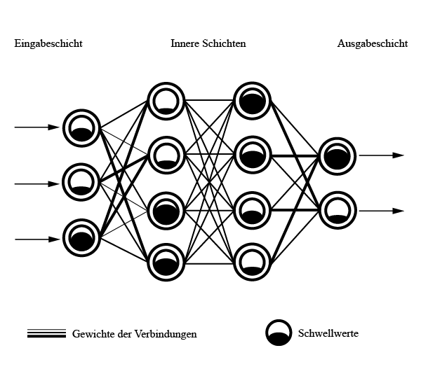 Grundlegender Aufbau eines neuronalen Netzes